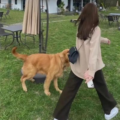 叛逆女巫